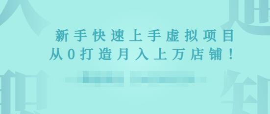 2022年虚拟项目实战指南，新手从0打造月入上万店铺-瀚海资源库