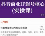 抖音商业IP起号核心实操课,带你玩转算法,流量,内容,架构,变现-瀚海资源库