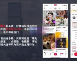 麦子互娱短视频带货·0基础做好物分享账号，无需出镜无需货源无需拍摄-瀚海资源库
