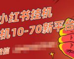 视频号小红书抖音挂机项目，小白无脑操作，按照要求来，单号每天几十米-瀚海资源库