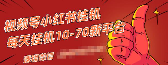 视频号小红书抖音挂机项目，小白无脑操作，按照要求来，单号每天几十米-瀚海资源库