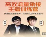高效流量承接主播训练营：快速提升主播能力,实现100万销售直播间-瀚海资源库