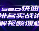 seo快速排名实战讲解视频课程，揭秘seo快排原理-瀚海资源库
