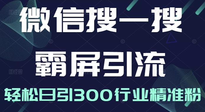 微信搜一搜霸屏引流课，打造被动精准引流系统，轻松日引300行业精准粉-瀚海资源库
