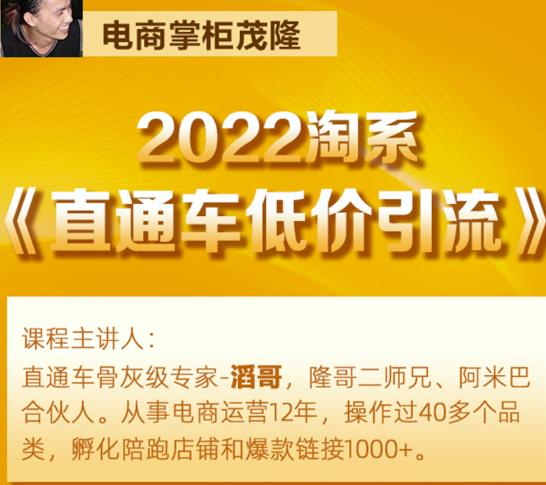 茂隆2022直通车低价引流玩法，教大家如何低投入高回报的直通车玩法-瀚海资源库
