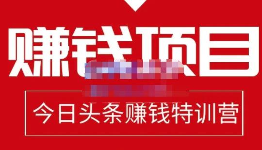 懒人领域·今日头条项目玩法，头条中视频项目，单号收益在50—500可批量-瀚海资源库