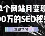 单个网站月变现100万的SEO秘密，百分百做出赚钱站点-瀚海资源库