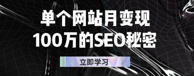 单个网站月变现100万的SEO秘密，百分百做出赚钱站点-瀚海资源库