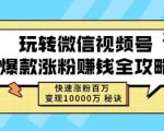 玩转微信视频号爆款涨粉赚钱全攻略，快速涨粉百万变现万元秘诀-瀚海资源库