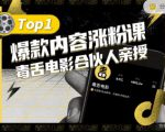 【毒舌电影合伙人亲授】抖音爆款内容涨粉课，5000万抖音大号首次披露涨粉机密-瀚海资源库