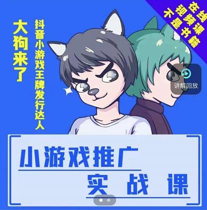 大狗来了：小游戏推广实战课，带你搭建一个游戏推广变现账号-瀚海资源库