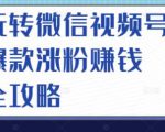 玩转微信视频号爆款涨粉赚钱全攻略，让你快速抓住流量风口，收获红利财富-瀚海资源库