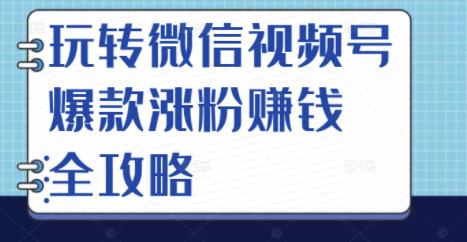 玩转微信视频号爆款涨粉赚钱全攻略，让你快速抓住流量风口，收获红利财富-瀚海资源库
