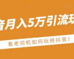 老古董·抖音月入5万引流玩法，看看老司机如何玩转抖音(附赠：抖音另类引流思路)-瀚海资源库