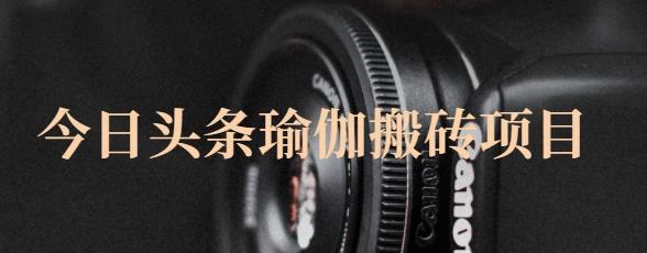 猎人社区·今日头条瑜伽搬砖项目，单号一天几十收入，可以批量操作！-瀚海资源库