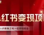 渣圈学苑·小红书虚拟资源变现项目,一起捞钱掘金价值1099元-瀚海资源库