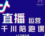 美尊-抖音直播运营千川系统课:直播运营规划、起号、主播培养、千川投放等-瀚海资源库
