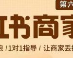 贾真-小红书商家营第6期商家版，21天带货陪跑课，让商家丢掉付流量-瀚海资源库