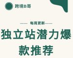 【跨境B哥】独立站潜力爆款选品推荐，测款出单率高达百分之80-瀚海资源库