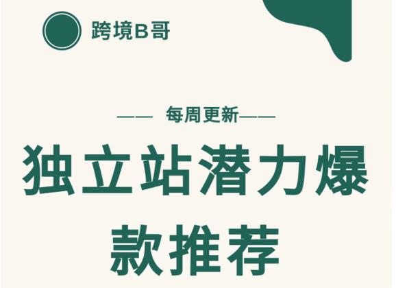 【跨境B哥】独立站潜力爆款选品推荐，测款出单率高达百分之80-瀚海资源库