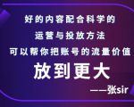张sir账号流量增长课,告别海王流量,让你的流量更精准-瀚海资源库