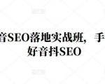 王通·抖音SEO落地实战班,手手带你做好音抖SEO-瀚海资源库