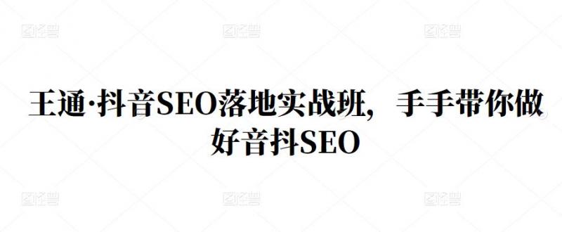王通·抖音SEO落地实战班，手‬手带你做好音抖‬‬SEO-瀚海资源库