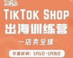 疯人院:TikTok Shop出海训练营(一店卖全球),出海抢占全球新流量-瀚海资源库