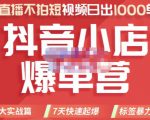 推易电商·2022年抖音小店爆单营，不直播、不拍短视频、日出1000单，暴力玩法-瀚海资源库