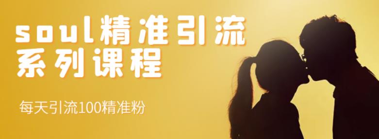 soul精准引流系列课程，每天引流100精准粉-瀚海资源库