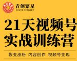 张萌21天视频号实战训练营,裂变涨粉、内容创作、视频号变现 价值298元-瀚海资源库