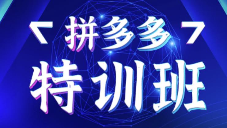 星雪教育·拼多多基础班+进阶班+突破班，用系统的学习模式快速改变现状价值3580元-瀚海资源库