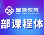 星雪教育淘系高级班，更全的运营提升方案，零基础由浅入深，店铺最新玩法-瀚海资源库