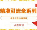 闲鱼精准引流全系列课程，每天引流100精准粉【视频课程】-瀚海资源库