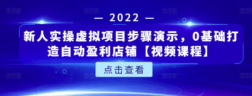 新人实操虚拟项目步骤演示，0基础打造自动盈利店铺【视频课程】-瀚海资源库