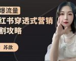 苏歆：小红书穿透式营销收割攻略，引爆流量，助你玩转小红书-瀚海资源库