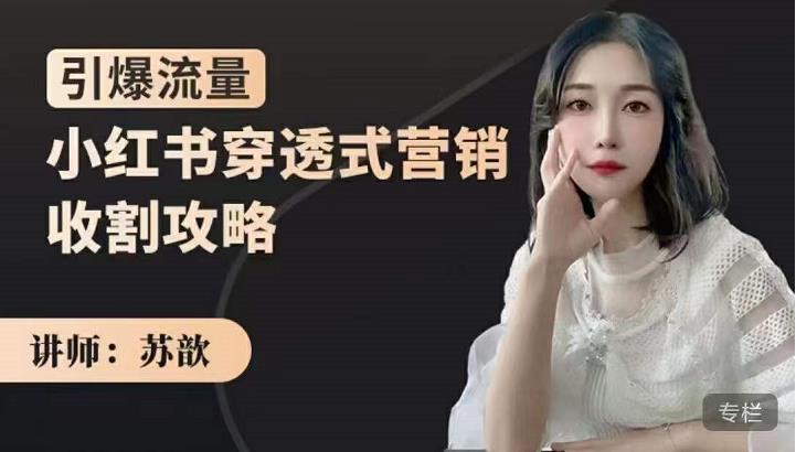 苏歆：小红书穿透式营销收割攻略，引爆流量，助你玩转小红书-瀚海资源库