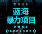 引流哥蓝海暴力躺赚项目：无需发圈无需引流无需售后，每单赚50-500（教程+线报群)-瀚海资源库