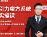 阿呆-引力魔方系统实操课，全体系实战教学，助你快速掌握推荐流量底层逻辑-瀚海资源库