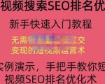 宋老师·短视频搜索SEO优化，教你10分钟创作一个短视频，三天排名上第一-瀚海资源库