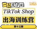 TikTokShop出海训练营（第十三期），打开全球流量新思维，出海抢占全球新流量，一店卖全球-瀚海资源库