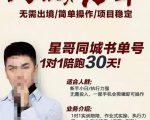 星哥同城教育书单号课程,无需出境简单操作项目稳定-瀚海资源库