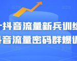 Peter抖音流量新兵训练营-破解抖音流量密码群爆训练营（新兵）-瀚海资源库