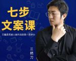 三把刀·七步文案课：文案是普通人做短视频的第一竞争力，如何写出划不走的文案-瀚海资源库