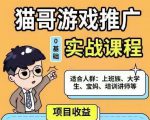 猫哥·游戏推广实战课程，单视频收益达6位数，从0到1成为优质游戏达人-瀚海资源库