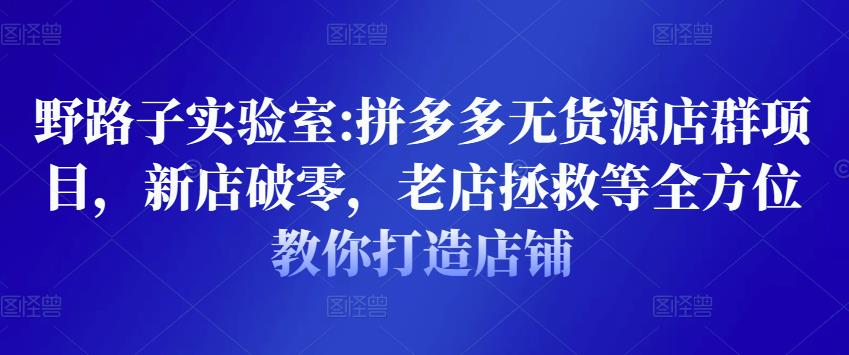 野路子实验室:拼多多无货源店群项目，新店破零，老店拯救等全方位教你打造店铺-瀚海资源库