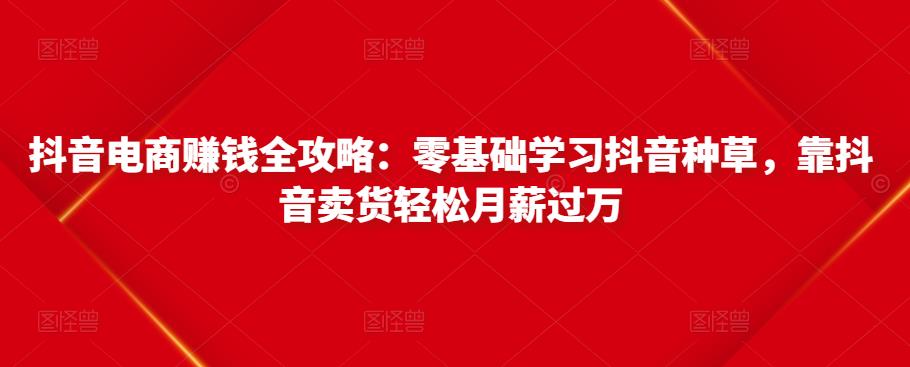 抖音电商赚钱全攻略：零基础学习抖音种草，靠抖音卖货轻松月薪过万-瀚海资源库
