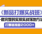 凌童《新品打爆实战班》,一套完整的实操实战落地方法,打爆链接超2000+(28节课)-瀚海资源库