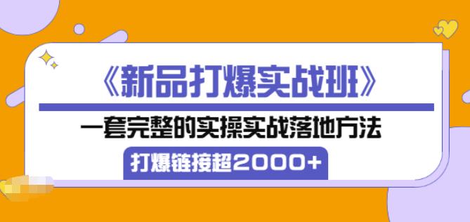 凌童《新品打爆实战班》,一套完整的实操实战落地方法，打爆链接超2000+（28节课)-瀚海资源库