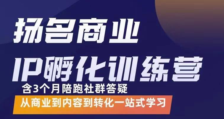 杨名商业IP孵化训练营，从商业到内容到转化一站式学 价值5980元-瀚海资源库